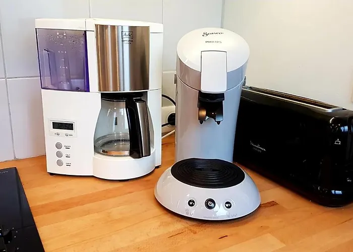 Maisonnette Bois Flottes